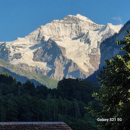 Mountain - Lake Apartment 3 Wilderswil Exteriör bild